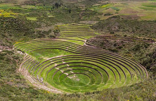Moray
